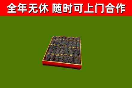 黄山回收海参